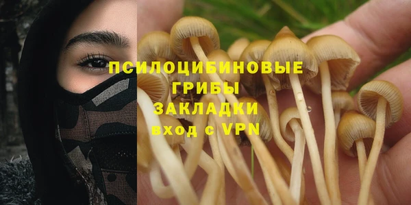 прущий лед Корсаков