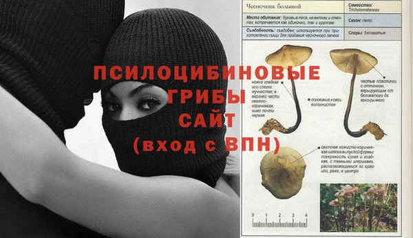 прущий лед Корсаков