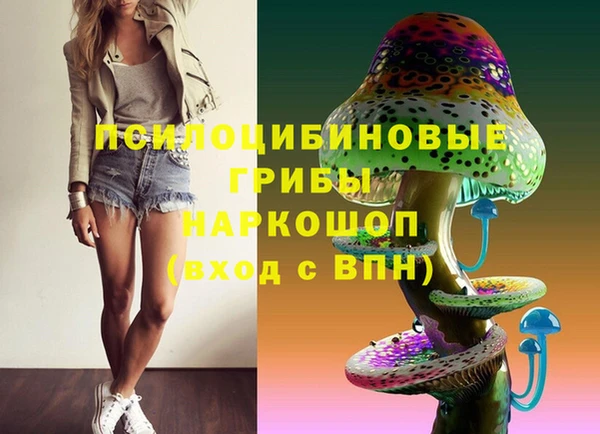 ешки Коряжма