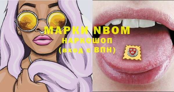прущий лед Корсаков