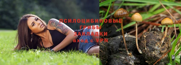 экстази Козловка