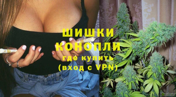 прущий лед Корсаков