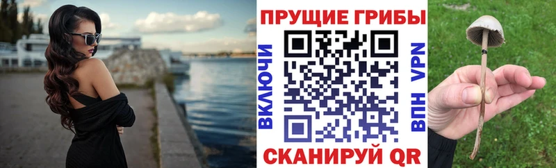 omg как войти  Кондопога  Галлюциногенные грибы мицелий 