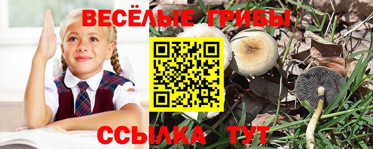 Галлюциногенные грибы мицелий  Вход с VPN  Кондопога 