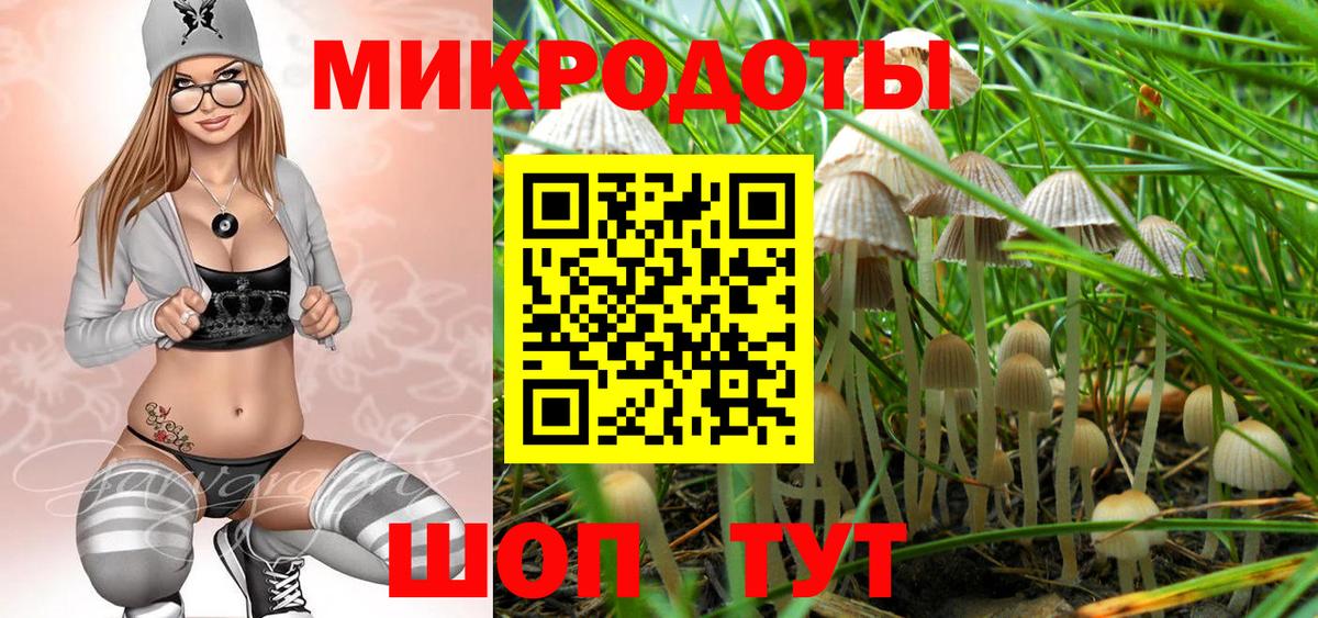 Псилоцибиновые грибы мухоморы Кондопога