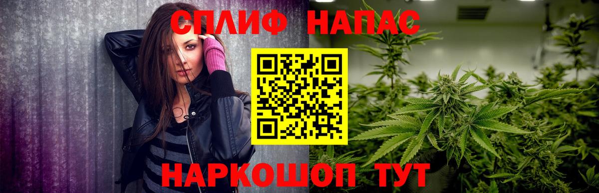 Бошки Шишки планчик Кондопога